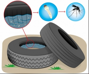Ciudad brasileña utiliza cámaras de seguridad de alta definición para combatir el Aedes aegypti