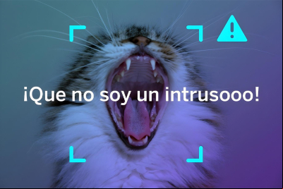 Adiós a falsas alarmas y falsos negativos con análisis de video